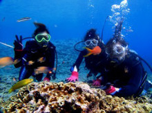 沖縄青の洞窟ダイビングショップ【マリンクラブクレアブログ】