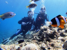 沖縄青の洞窟ダイビングショップ【マリンクラブクレアブログ】