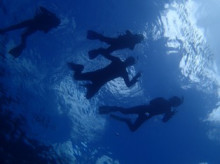 沖縄青の洞窟ダイビングショップ【マリンクラブクレアブログ】