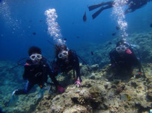 沖縄青の洞窟ダイビングショップ【マリンクラブクレアブログ】