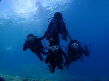 沖縄青の洞窟ダイビングショップ【マリンクラブクレアブログ】