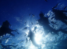 沖縄青の洞窟ダイビングショップ【マリンクラブクレアブログ】