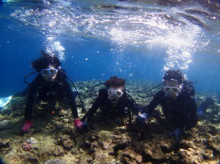 沖縄青の洞窟ダイビングショップ【マリンクラブクレアブログ】