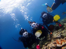 沖縄青の洞窟ダイビングショップ【マリンクラブクレアブログ】