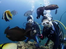 沖縄青の洞窟ダイビングショップ【マリンクラブクレアブログ】