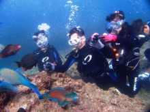 沖縄青の洞窟ダイビングショップ【マリンクラブクレアブログ】