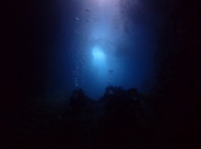 沖縄青の洞窟ダイビングショップ【マリンクラブクレアブログ】