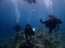 沖縄青の洞窟ダイビングショップ【マリンクラブクレアブログ】