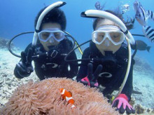 沖縄青の洞窟ダイビングショップ【マリンクラブクレアブログ】