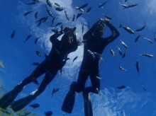 沖縄青の洞窟ダイビングショップ【マリンクラブクレアブログ】