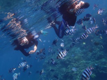 沖縄青の洞窟ダイビングショップ【マリンクラブクレアブログ】