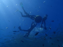 沖縄青の洞窟ダイビングショップ【マリンクラブクレアブログ】