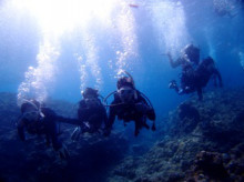 沖縄青の洞窟ダイビングショップ【マリンクラブクレアブログ】