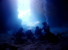 沖縄青の洞窟ダイビングショップ【マリンクラブクレアブログ】