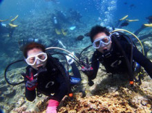 沖縄青の洞窟ダイビングショップ【マリンクラブクレアブログ】