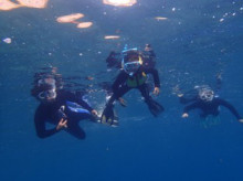 沖縄青の洞窟ダイビングショップ【マリンクラブクレアブログ】