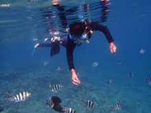 沖縄青の洞窟ダイビングショップ【マリンクラブクレアブログ】