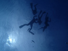 沖縄青の洞窟ダイビングショップ【マリンクラブクレアブログ】