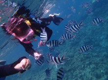 沖縄青の洞窟ダイビングショップ【マリンクラブクレアブログ】