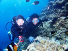 沖縄青の洞窟ダイビングショップ【マリンクラブクレアブログ】