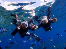 沖縄青の洞窟ダイビングショップ【マリンクラブクレアブログ】