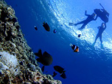 沖縄青の洞窟ダイビングショップ【マリンクラブクレアブログ】