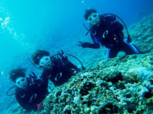 沖縄青の洞窟ダイビングショップ【マリンクラブクレアブログ】