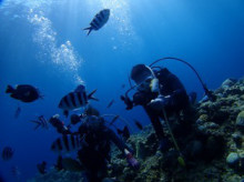 沖縄青の洞窟ダイビングショップ【マリンクラブクレアブログ】