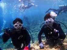 沖縄青の洞窟ダイビングショップ【マリンクラブクレアブログ】