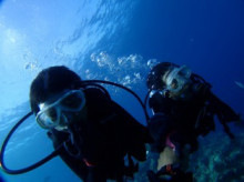 沖縄青の洞窟ダイビングショップ【マリンクラブクレアブログ】