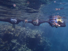 沖縄青の洞窟ダイビングショップ【マリンクラブクレアブログ】