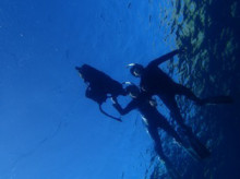 沖縄青の洞窟ダイビングショップ【マリンクラブクレアブログ】