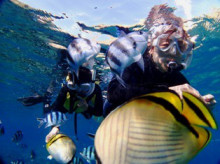 沖縄青の洞窟ダイビングショップ【マリンクラブクレアブログ】