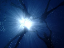 沖縄青の洞窟ダイビングショップ【マリンクラブクレアブログ】