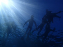 沖縄青の洞窟ダイビングショップ【マリンクラブクレアブログ】