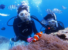 沖縄青の洞窟ダイビングショップ【マリンクラブクレアブログ】