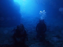 沖縄青の洞窟ダイビングショップ【マリンクラブクレアブログ】