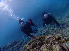 沖縄青の洞窟ダイビングショップ【マリンクラブクレアブログ】