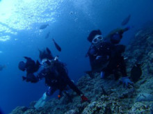 沖縄青の洞窟ダイビングショップ【マリンクラブクレアブログ】