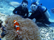 沖縄青の洞窟ダイビングショップ【マリンクラブクレアブログ】