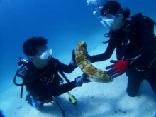 沖縄青の洞窟ダイビングショップ【マリンクラブクレアブログ】