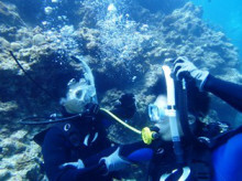 沖縄青の洞窟ダイビングショップ【マリンクラブクレアブログ】