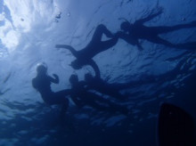 沖縄青の洞窟ダイビングショップ【マリンクラブクレアブログ】