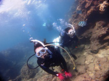 沖縄青の洞窟ダイビングショップ【マリンクラブクレアブログ】