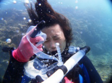 沖縄青の洞窟ダイビングショップ【マリンクラブクレアブログ】