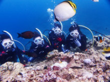 沖縄青の洞窟ダイビングショップ【マリンクラブクレアブログ】