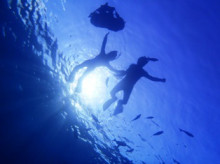 沖縄青の洞窟ダイビングショップ【マリンクラブクレアブログ】