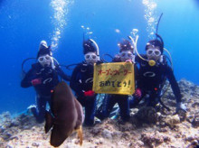 沖縄青の洞窟ダイビングショップ【マリンクラブクレアブログ】