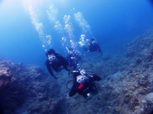 沖縄青の洞窟ダイビングショップ【マリンクラブクレアブログ】