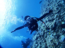 沖縄青の洞窟ダイビングショップ【マリンクラブクレアブログ】